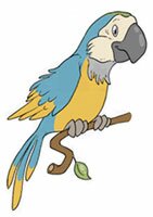 Azula the parrot