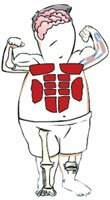 human body