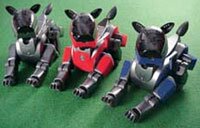 robo dogs