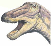 dinosaur's head