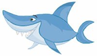 shark