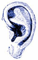 ear