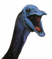 dinosaur head