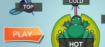 Play Word Frog